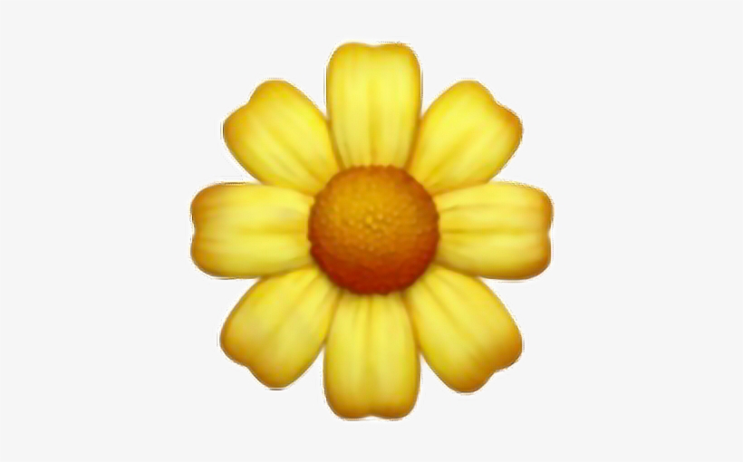 Daisy Yellow Flower Cute Tumblr Overlay Interesting - Flower Emoji Transparent Background, transparent png #4404650