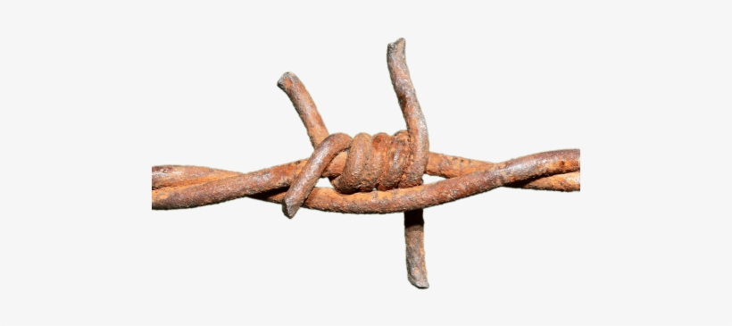 Barbed Wire Rusted Knot - Barbed Wire Png Trasparent, transparent png #4405058