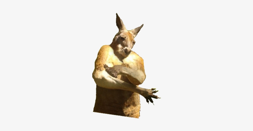 Kangaroo Gangster - Film, transparent png #4405926