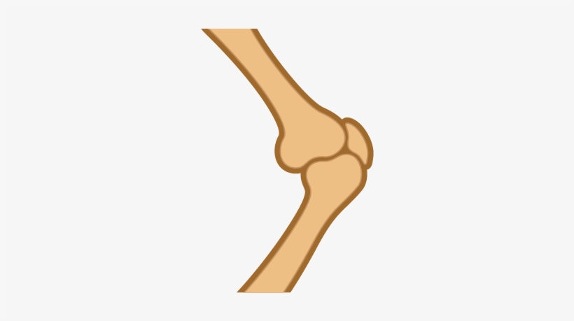 Support Joint Health - Bone, transparent png #4406088