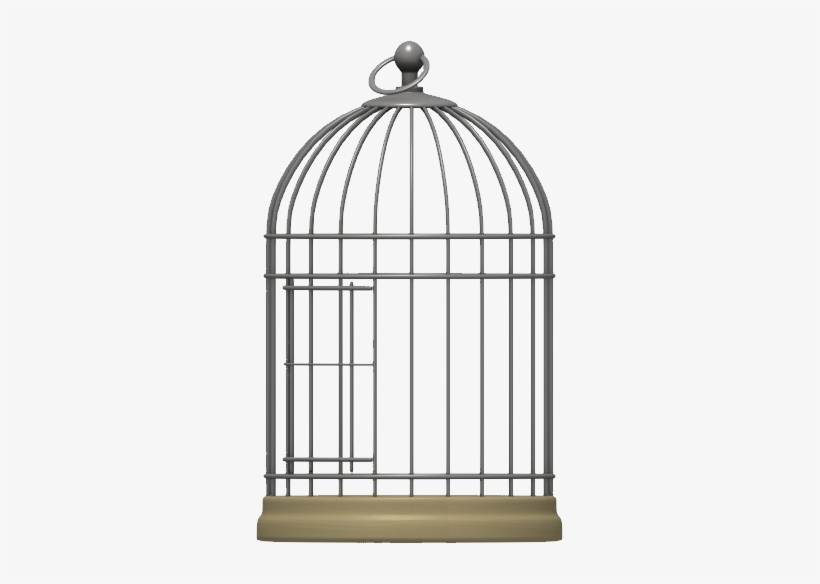 Bird In The Cage, transparent png #4406337