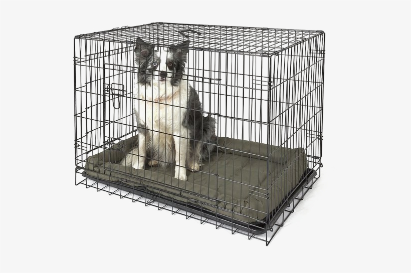 Cage Png Free Download - Cage Animal, transparent png #4406410