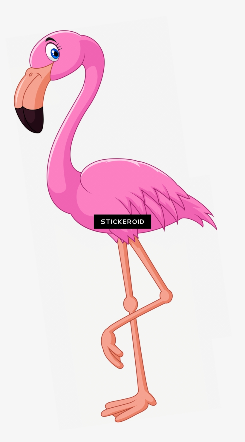 Flamingo Animals - Cartoon Flamingo Png, transparent png #4406710