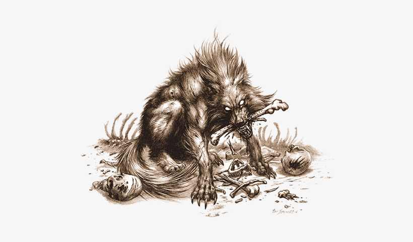 Wtf Spencer - Dog, transparent png #4406850