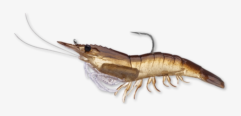 Koppers Live Target Shrimp Pre-rigged Soft Bait, 3, transparent png #4406870