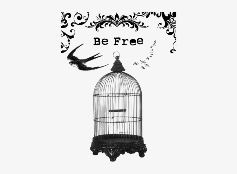 Cag - Png - Interior Gallery Hanging Decorative Bird Cage Antique, transparent png #4406894