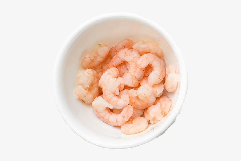 Southfin Shrimp - Cell, transparent png #4406902