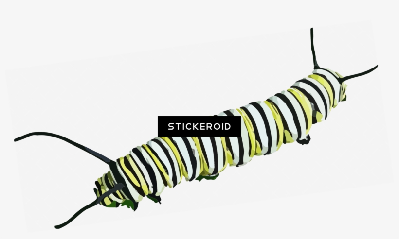 Caterpillar Clipart - Imagenes De Animales Que Se Arrastran, transparent png #4407084