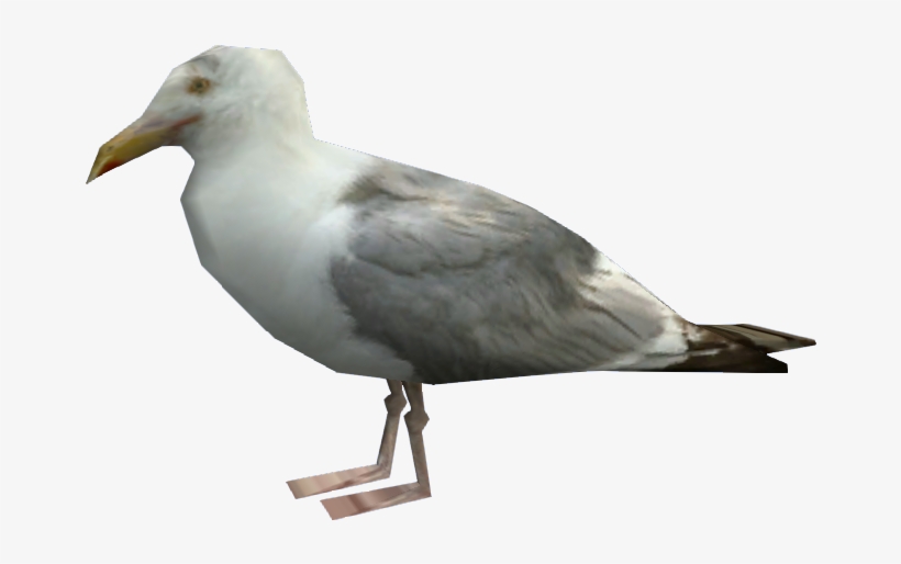 Seagull Png Download - Gta V Seagull, transparent png #4407087
