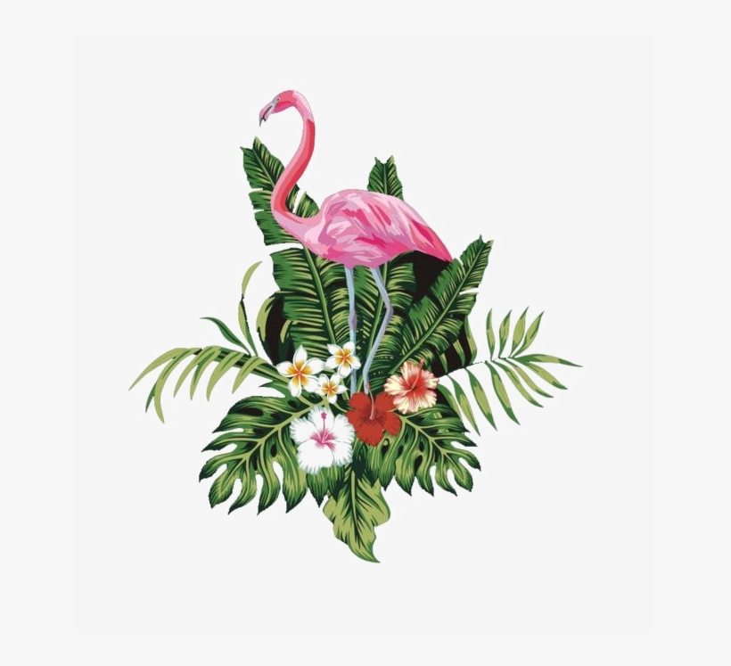 Flamingo Png High-quality Image - Flamingo Png, transparent png #4407129