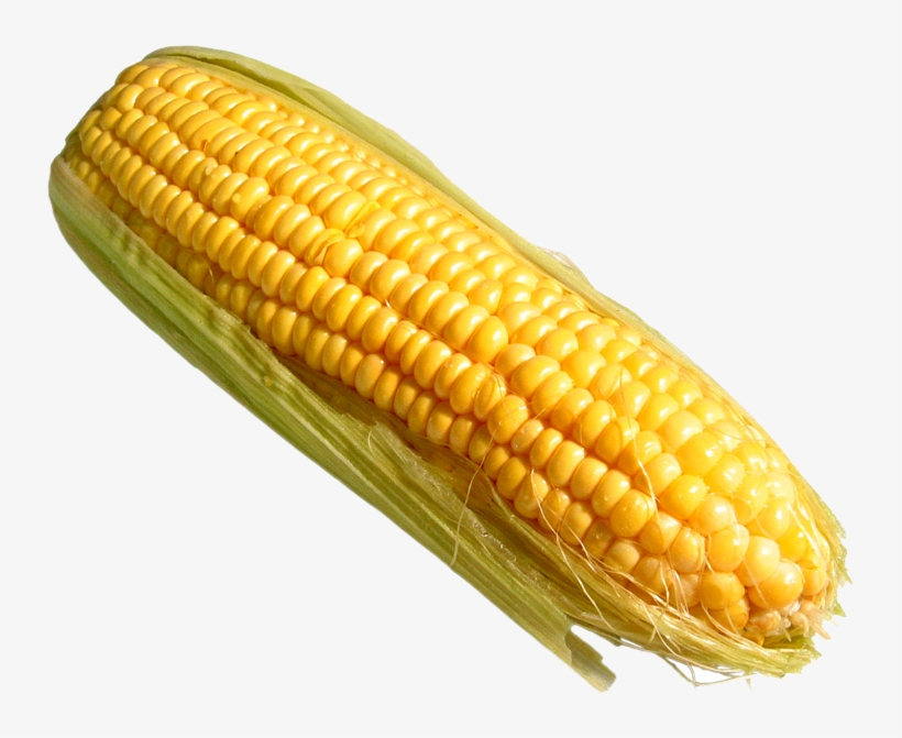 Corn Png Pic - Corn On The Cob Transparent, transparent png #4407166