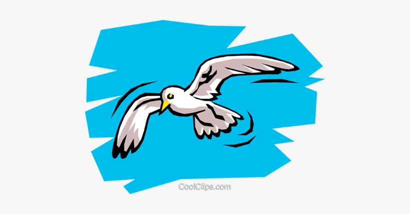 Seagull Royalty Free Vector Clip Art Illustration - Gabbiano Jonathan Livingston Scuola Primaria, transparent png #4407171