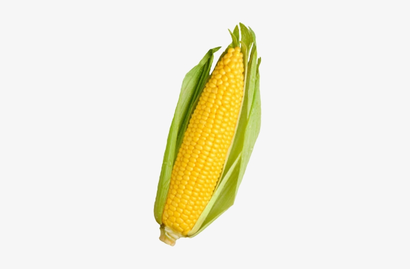 Corn Png Cliparts Suggest Cliparts & Vectors - Vegetables Corn, transparent png #4407263
