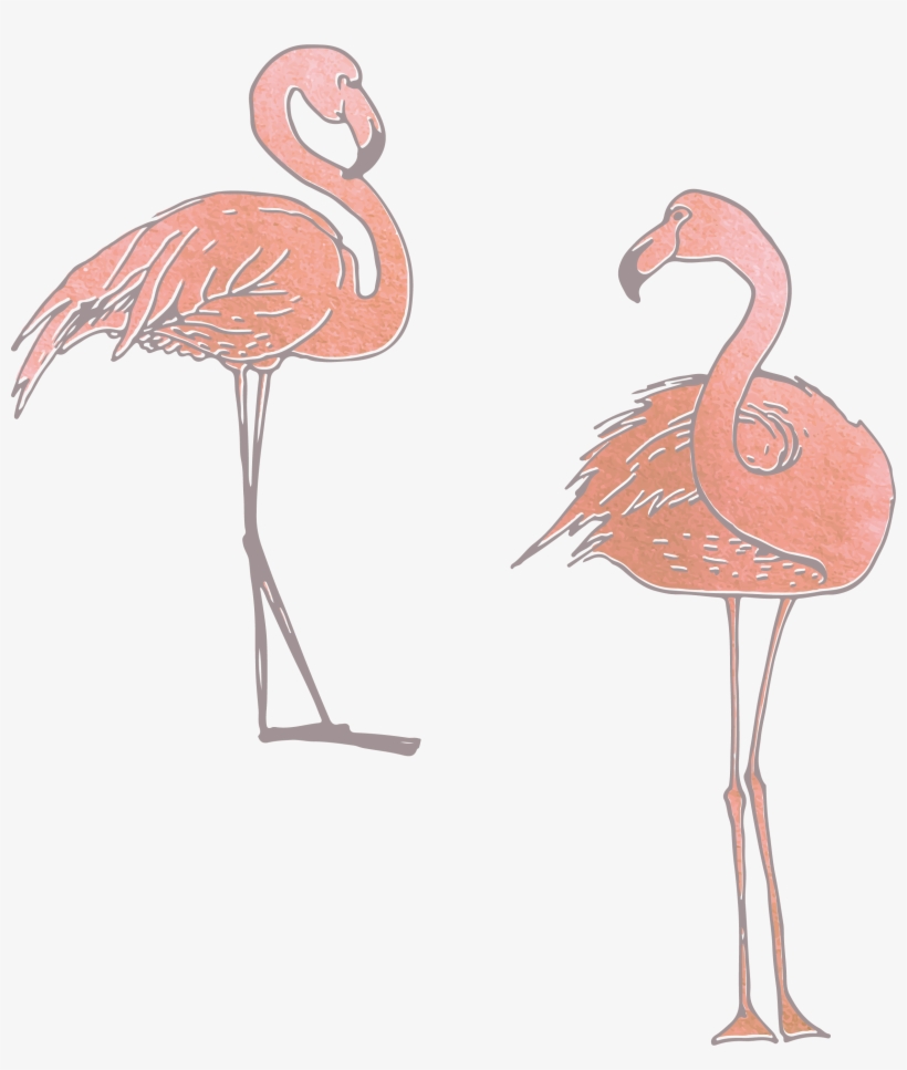 Collection Of Free Flamingo Vector Skeleton - Flamingos, transparent png #4407283