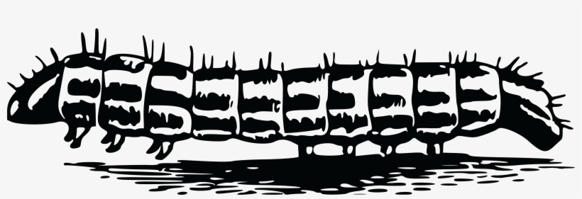 , , - Desenho De Uma Lagarta, transparent png #4407542