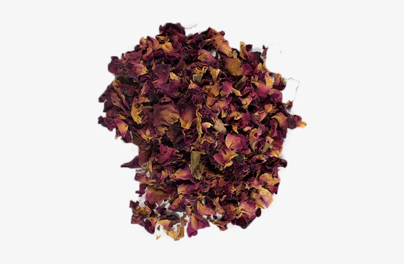 8/5 - Loose Leaf, transparent png #4407736