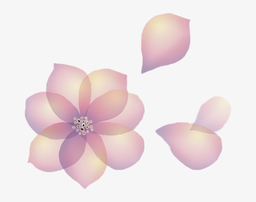 Flowers Petals Transparent Floating Aesthetic - Petal, transparent png #4407886