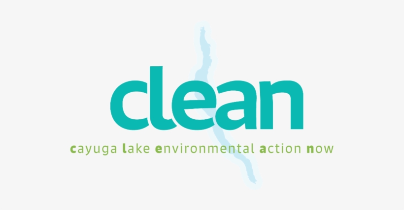 Clean Cayuga Lake - Cayuga Lake, transparent png #4408149