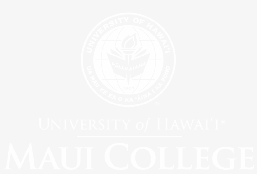 White Png - Web Logo Png White, transparent png #4409361