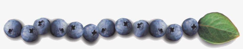 Helyn's Plant-based Kitchen » Blueberrylicious - Blueberry Border, transparent png #4409593