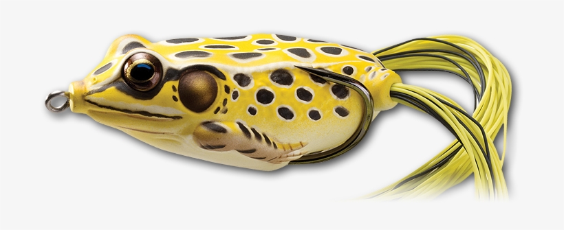 501 Yellow / Black - Koppers Live Target Frog Hollow Body 2.66-inch, transparent png #4409657