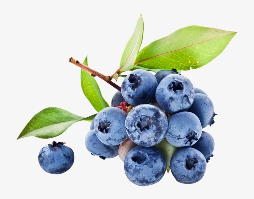 Iqf Wild Blueberry, Iqf Wild Blueberry Suppliers And - Jus De Bleuet, transparent png #4409962
