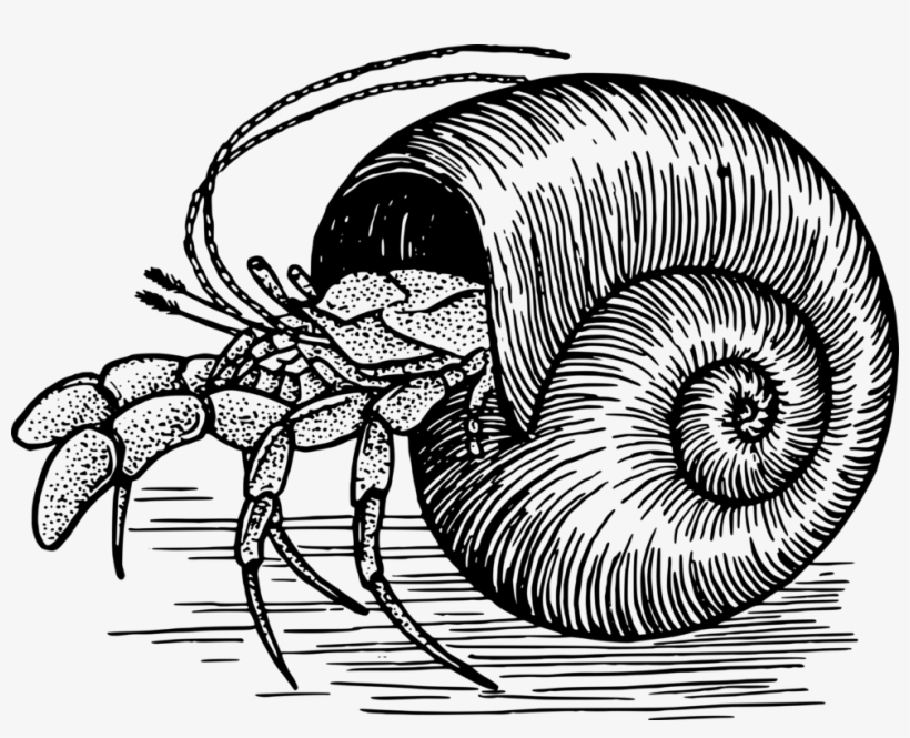 Hermit Crab Svg Clip Arts 600 X 457 Px, transparent png #4410449