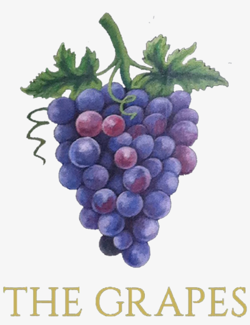 Grapes, transparent png #4410488
