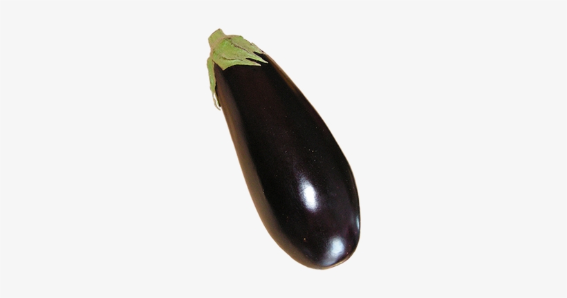 Eggplant, Aubergine Grow Guide Logo - Eggplant, transparent png #4411172