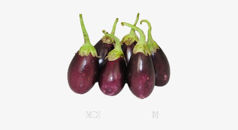 Eggplant, transparent png #4411640