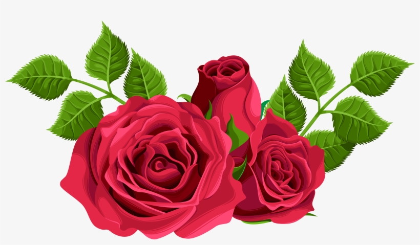 Rosas Decorativas, transparent png #4412568