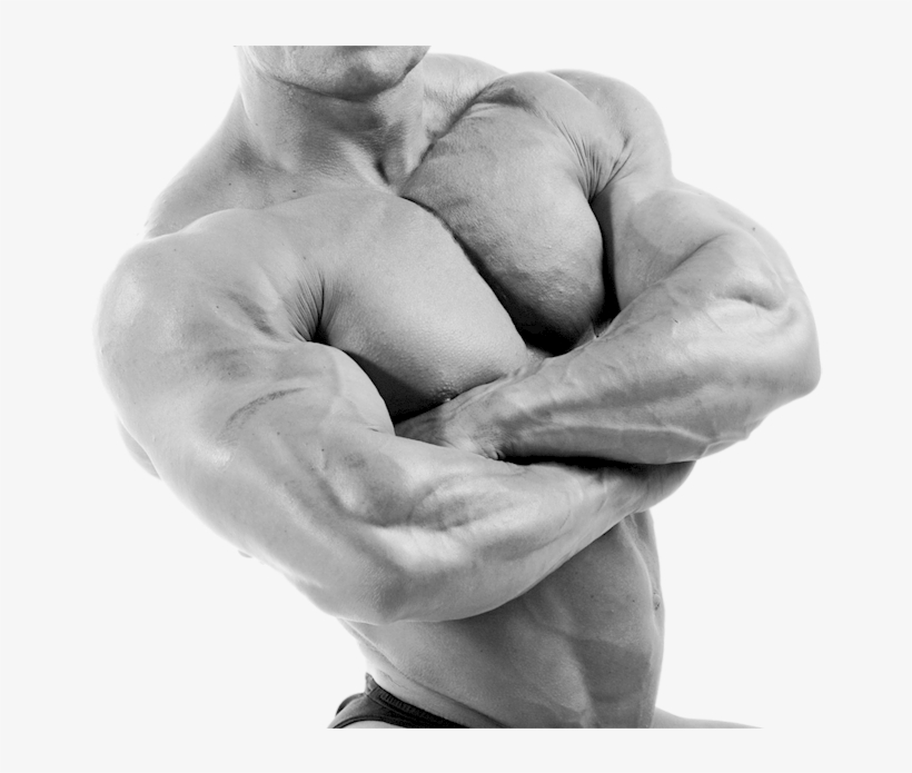 Muscle Building - Black Muscle Man Png, transparent png #4413481