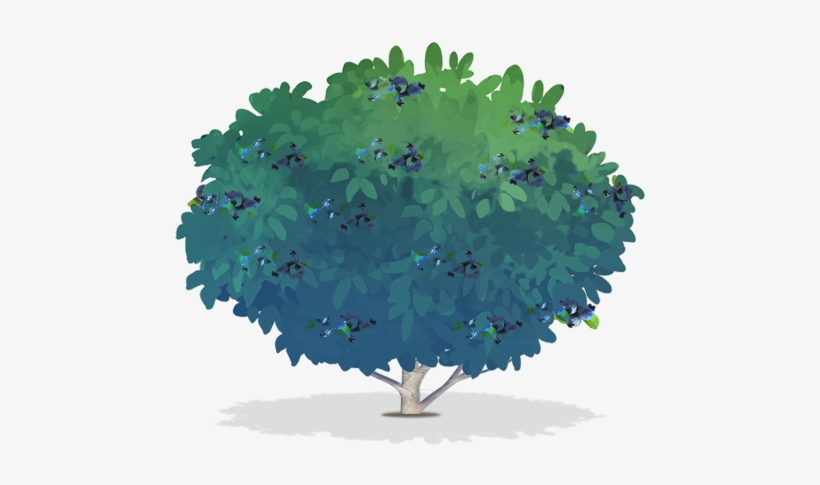 Png For Free Download On Mbtskoudsalg - Blueberry Bush Illustration, transparent png #4413721