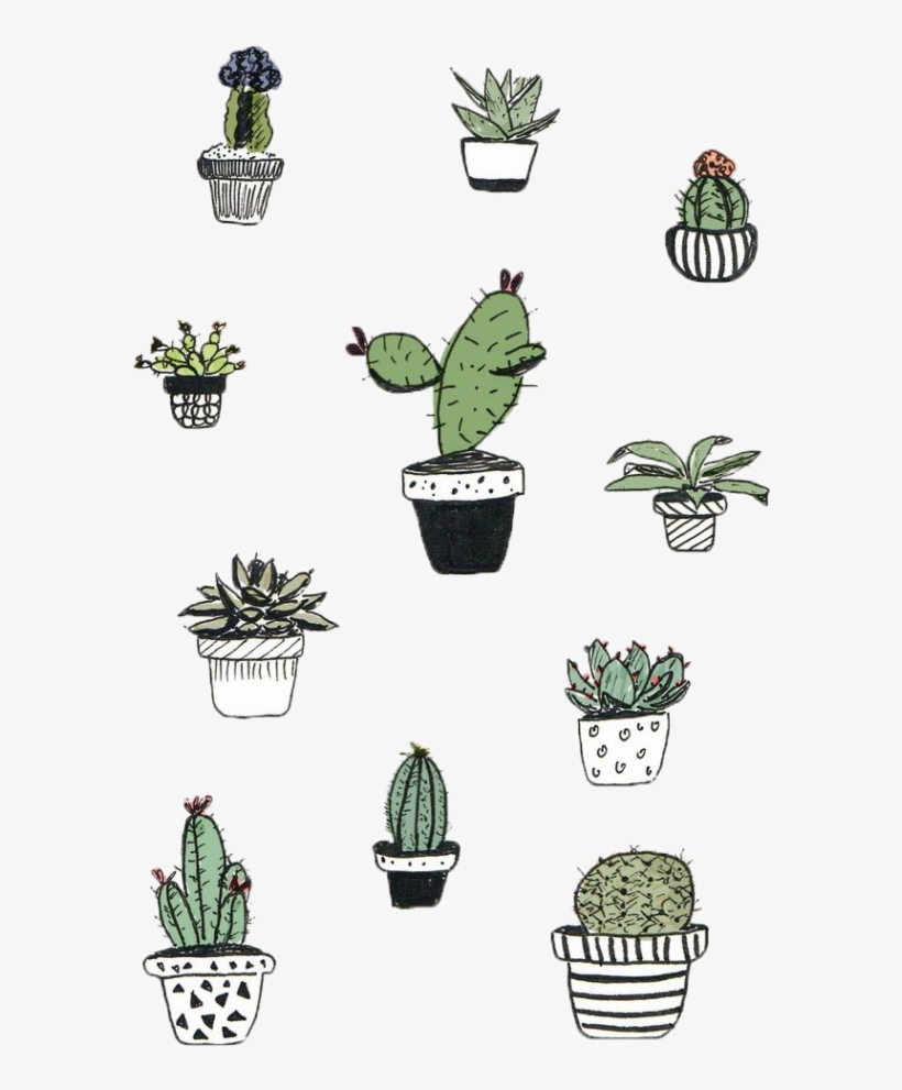 Cactaceae Cactus And Succulent Plant Others - Notebook: Journal Dot-grid, Graph, Lined, Blank No, transparent png #4414019