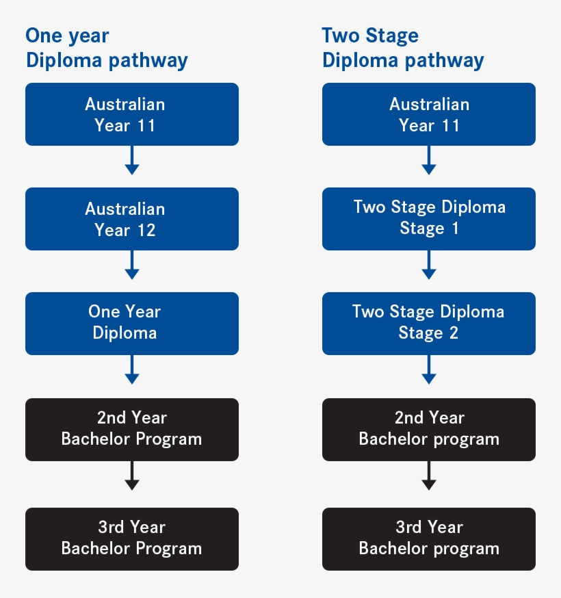 Eynesbury Offer Two Different Types Of Diploma Programs - Different Types Of Diplomas, transparent png #4414460