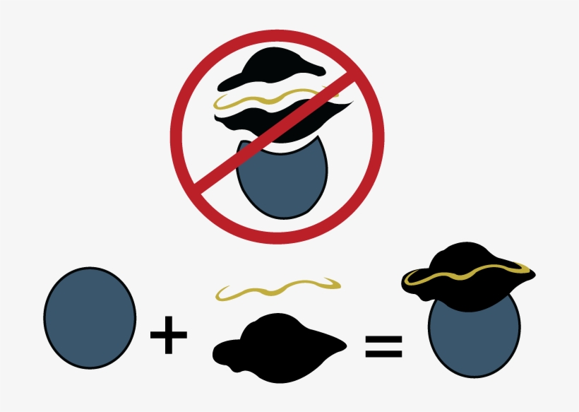 How To Vectorize The Pirate In Illustrator, transparent png #4416487