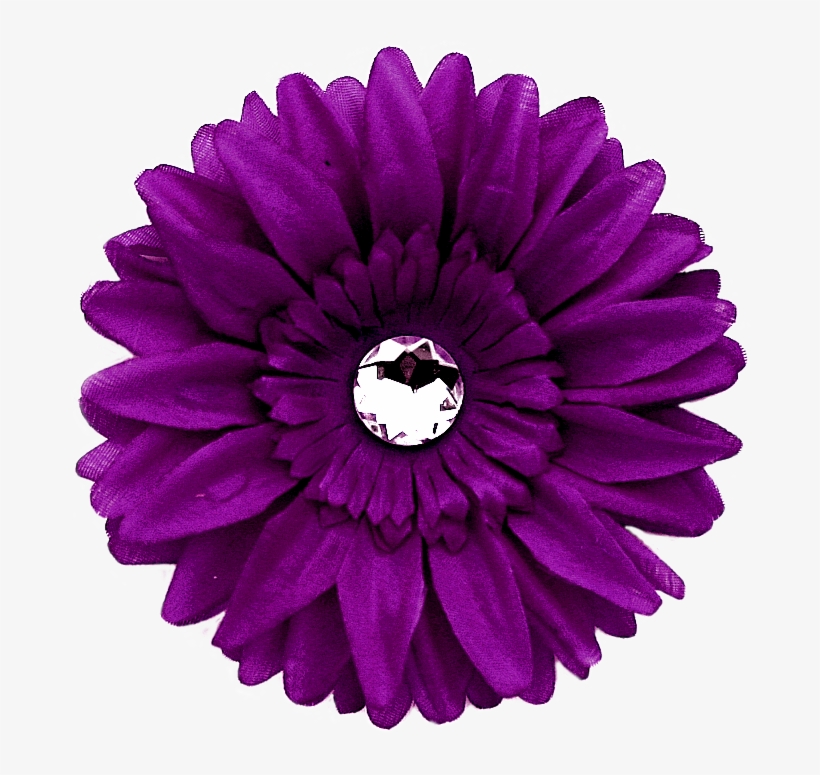 Go To Image - Purple Gerber Daisy Clip Art, transparent png #4416594