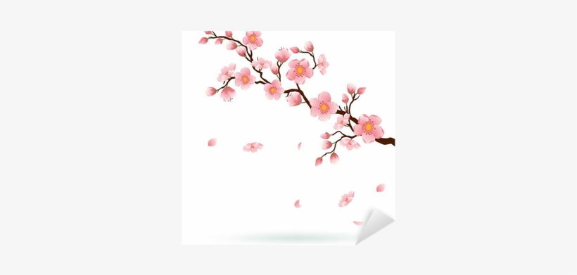 Cherry Blossom With Falling Petals - Clip Art Cherry Blossom Tree, transparent png #4416749