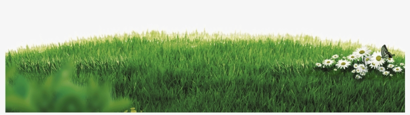 Motion Grass - Grass Vintage Png, transparent png #4417816