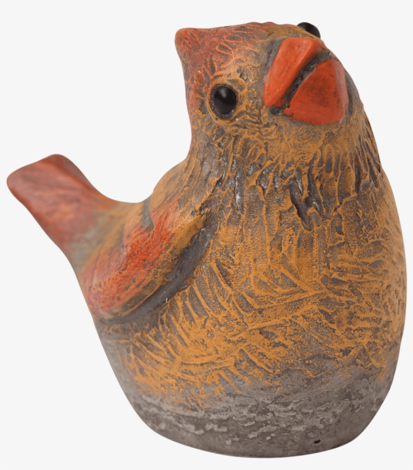 Femalecardinal Multicolor - Isabel Bloom, transparent png #4417896