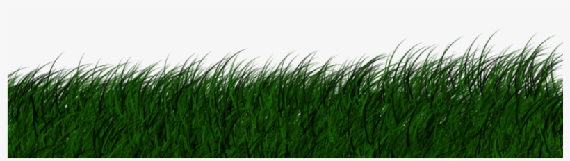 Grass Png Vector - Portable Network Graphics, transparent png #4418045