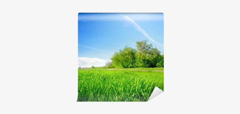 Photograph, transparent png #4418577