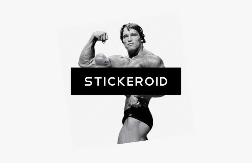 Arnold Schwarzenegger - Arnold Schwarzenegger Bodybuilder Mr Olympic Poster, transparent png #4418669