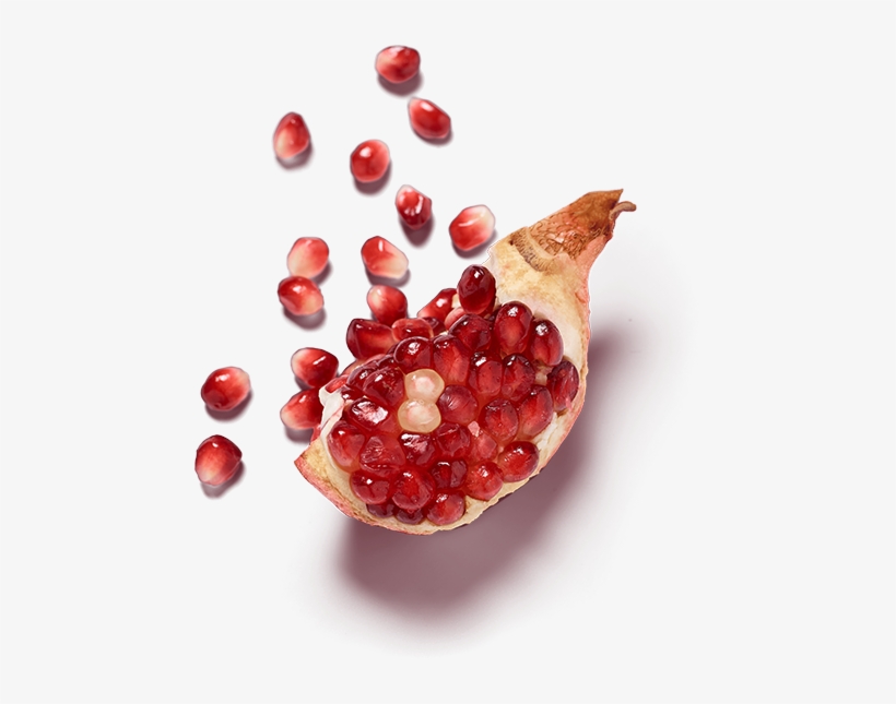 Pomegranate - Currant, transparent png #4423041