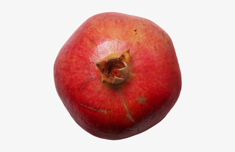 Pomegranate - Pluot, transparent png #4423046