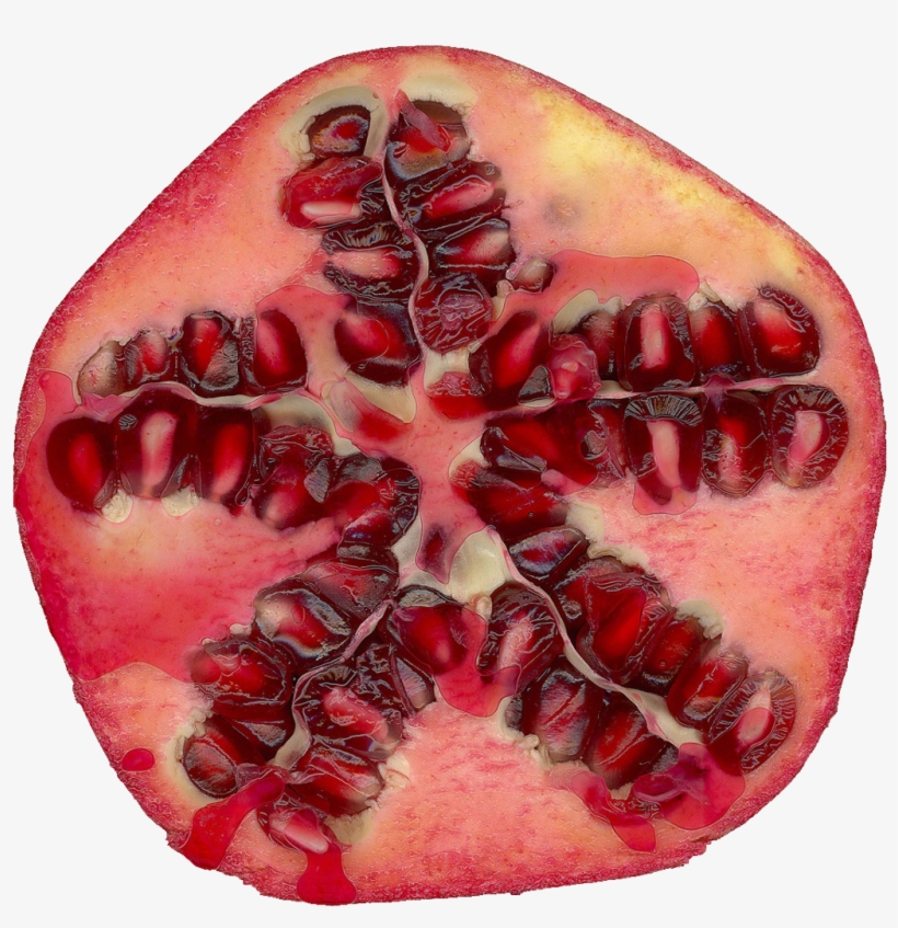 Qubodup Pomegranate Granatapfel - Digital Watercolor Pomegranate Tu B'shvat Greetings, transparent png #4423074