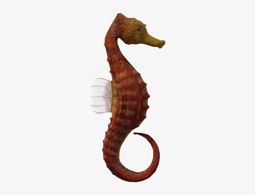 Seahorse Png Download - Portable Network Graphics, transparent png #4424043