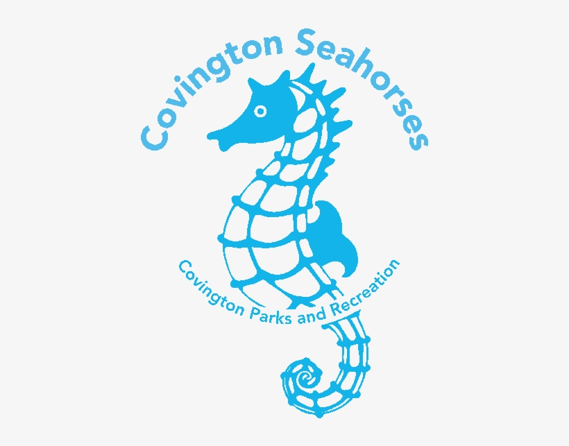 Seahorse Team Logo, transparent png #4424297