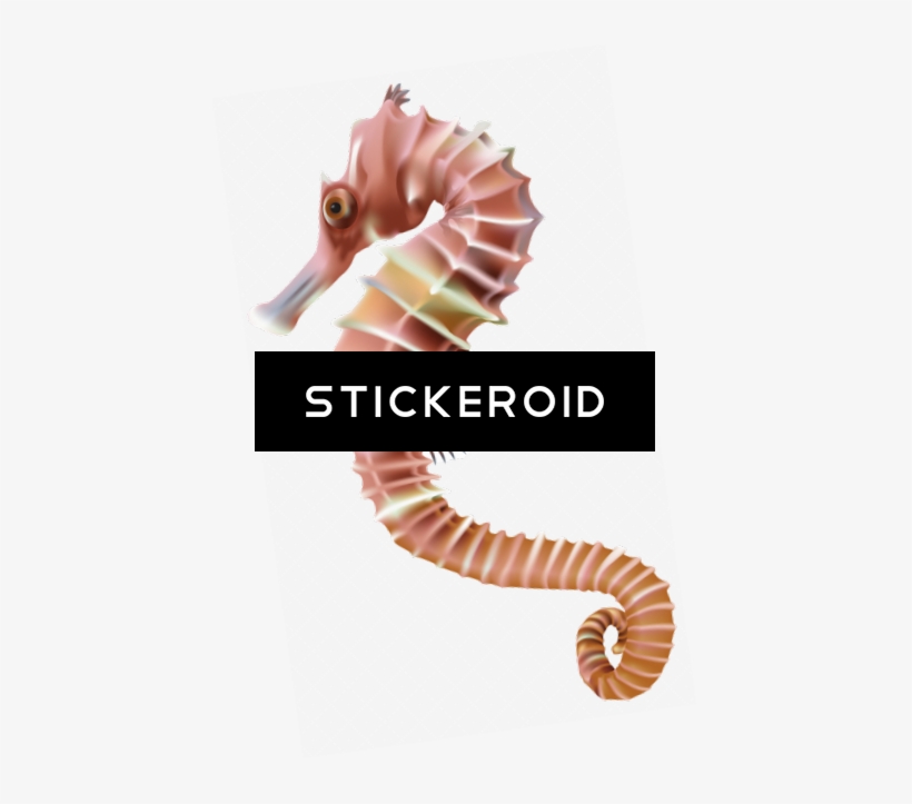 Seahorse Animals - Clip Art, transparent png #4424329