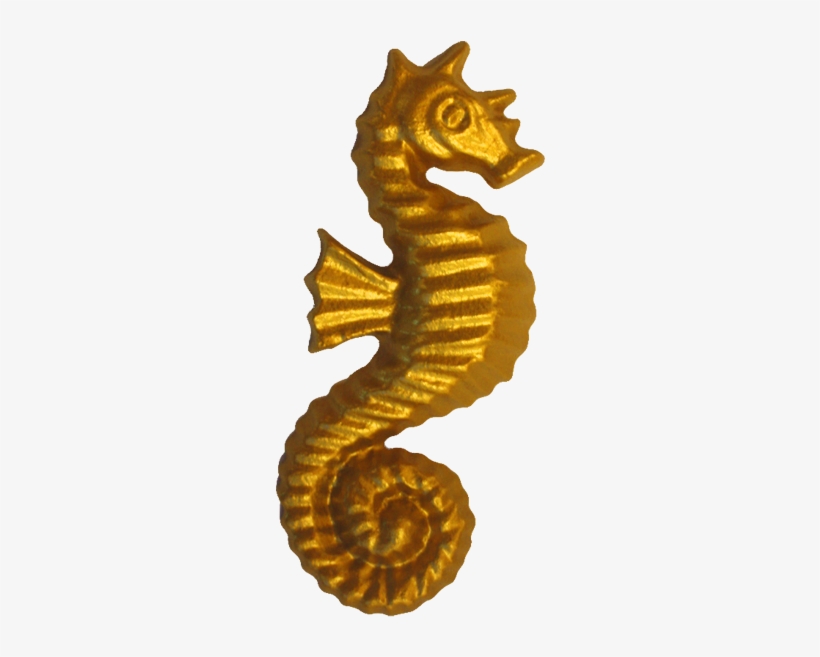 Seahorse Paperweight - Northern Seahorse, transparent png #4424368